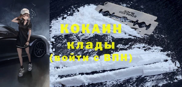 метадон Богданович