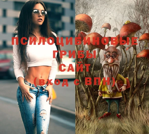 mdma Богородск